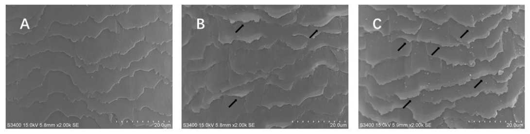 體外真發(fā),頭發(fā)熱損傷,模型研究,CIRS,功效評(píng)價(jià),技術(shù)實(shí)踐