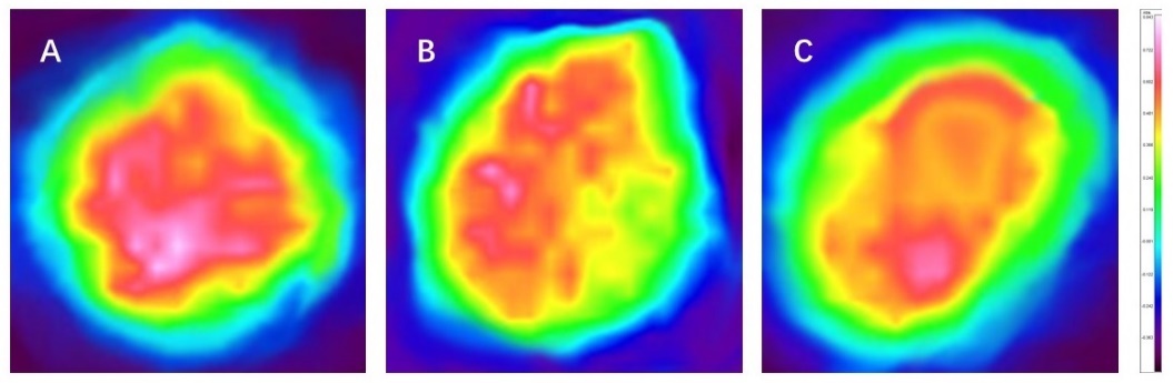 體外真發(fā),頭發(fā)熱損傷,模型研究,CIRS,功效評(píng)價(jià),技術(shù)實(shí)踐