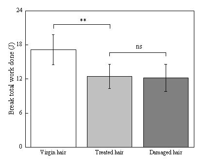 體外真發(fā),頭發(fā)熱損傷,模型研究,CIRS,功效評(píng)價(jià),技術(shù)實(shí)踐