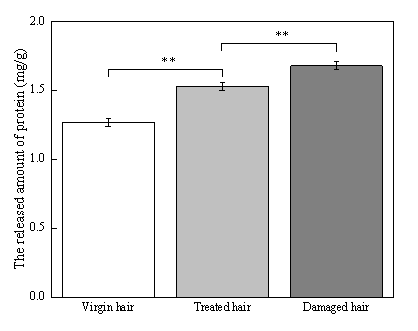 體外真發(fā),頭發(fā)熱損傷,模型研究,CIRS,功效評(píng)價(jià),技術(shù)實(shí)踐