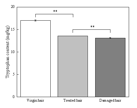 體外真發(fā),頭發(fā)熱損傷,模型研究,CIRS,功效評(píng)價(jià),技術(shù)實(shí)踐