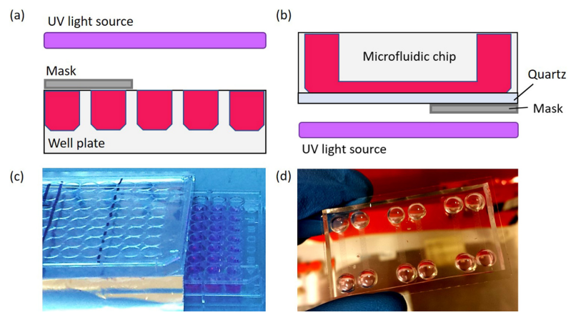 新型皮膚,芯片,化妝品安全,功效評(píng)價(jià)