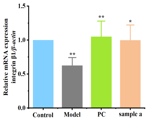 體外細(xì)胞培養(yǎng),模型,化妝品抗衰,功效評價(jià)