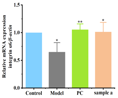 體外細(xì)胞培養(yǎng),模型,化妝品抗衰,功效評價(jià)