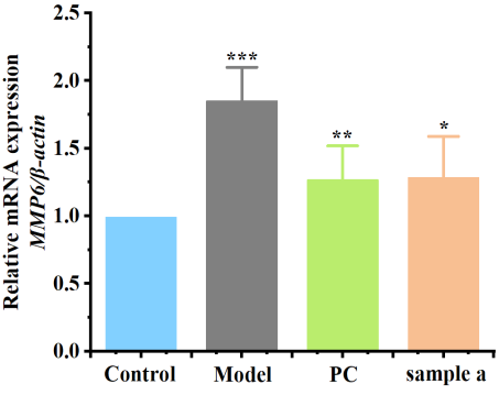 體外細(xì)胞培養(yǎng),模型,化妝品抗衰,功效評價(jià)
