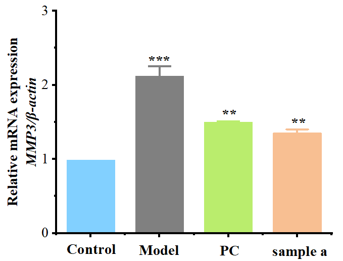 體外細(xì)胞培養(yǎng),模型,化妝品抗衰,功效評價(jià)