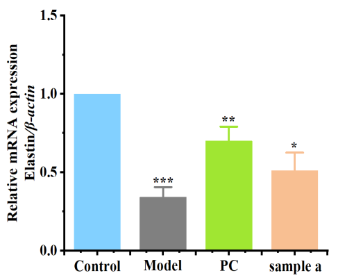 體外細(xì)胞培養(yǎng),模型,化妝品抗衰,功效評價(jià)