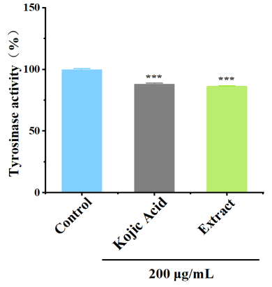 體外細(xì)胞,培養(yǎng),模型,祛斑,美白,功效評(píng)估