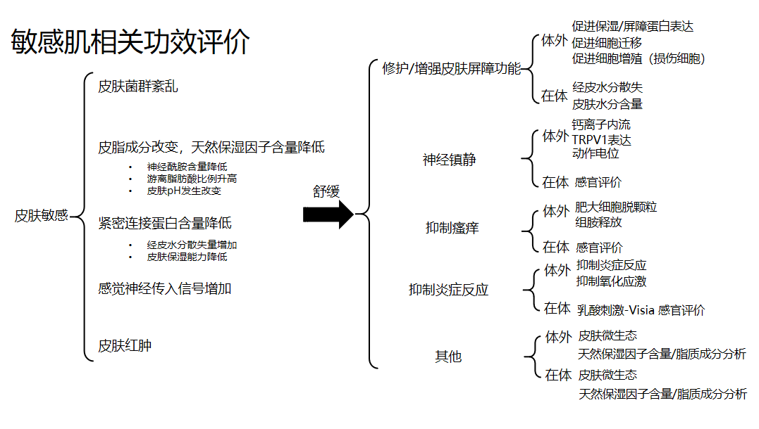 敏感肌,護(hù)理類,成分,功效評(píng)估