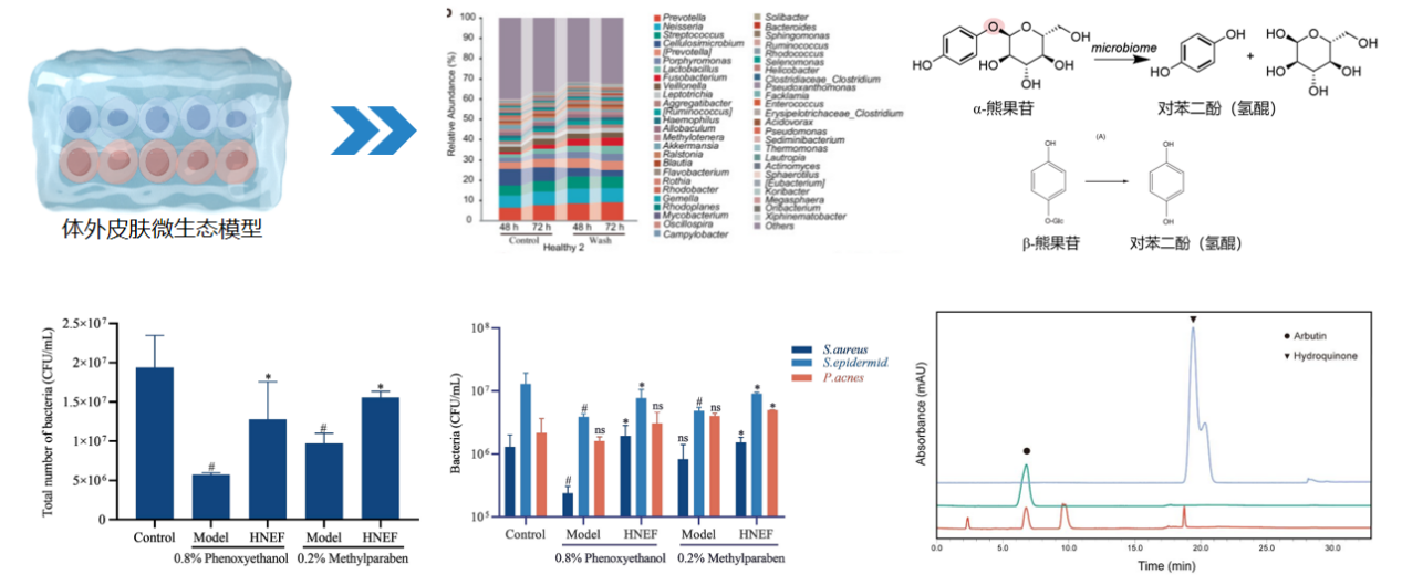PDRN,再生醫(yī)學(xué),護(hù)膚前沿,皮膚微生態(tài),安全性評(píng)估
